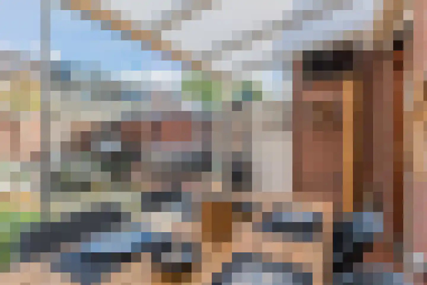 Heierveldlaan 62 Maasbree thumbnail 53