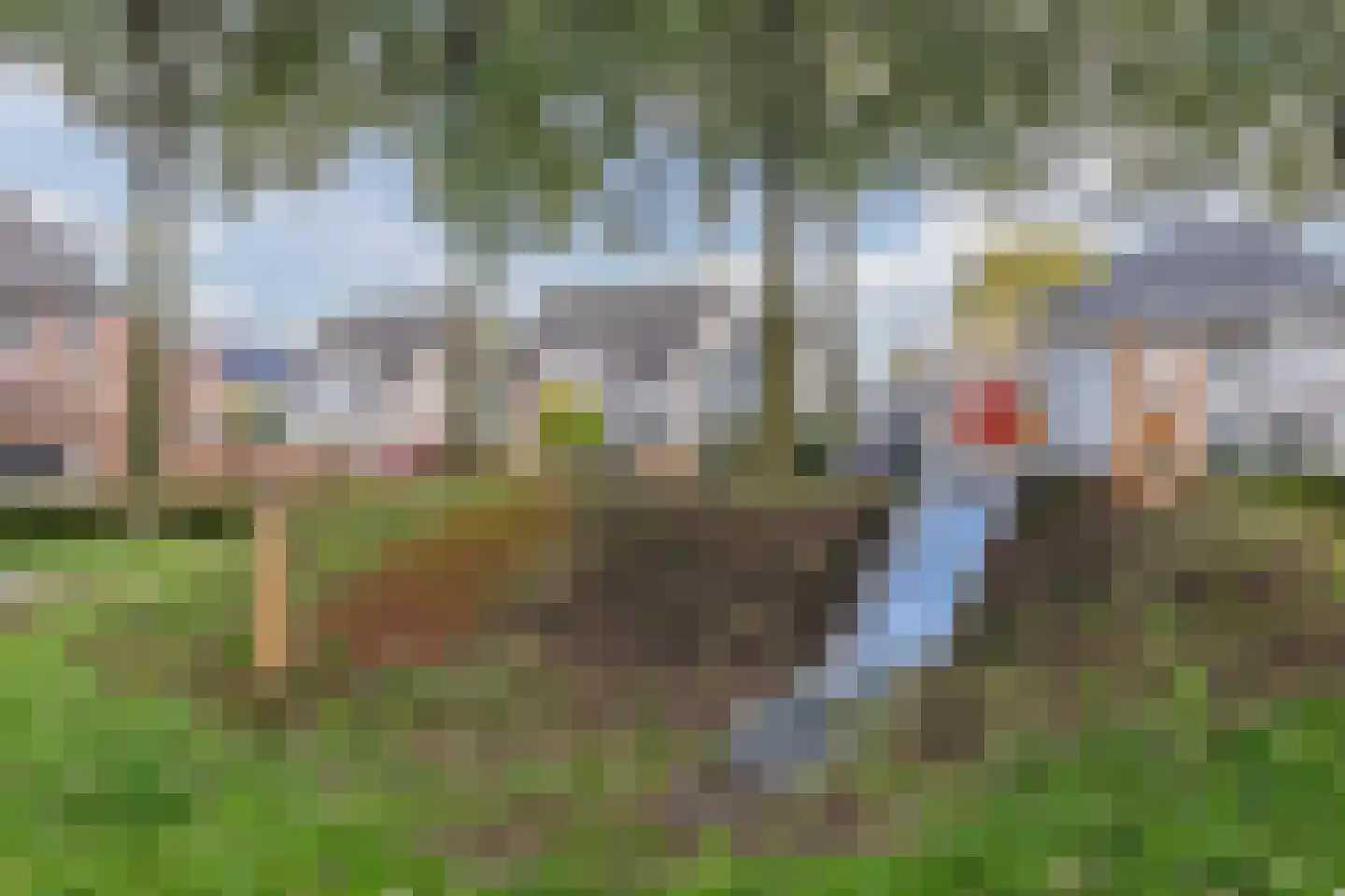 Heierveldlaan 62 Maasbree thumbnail 65