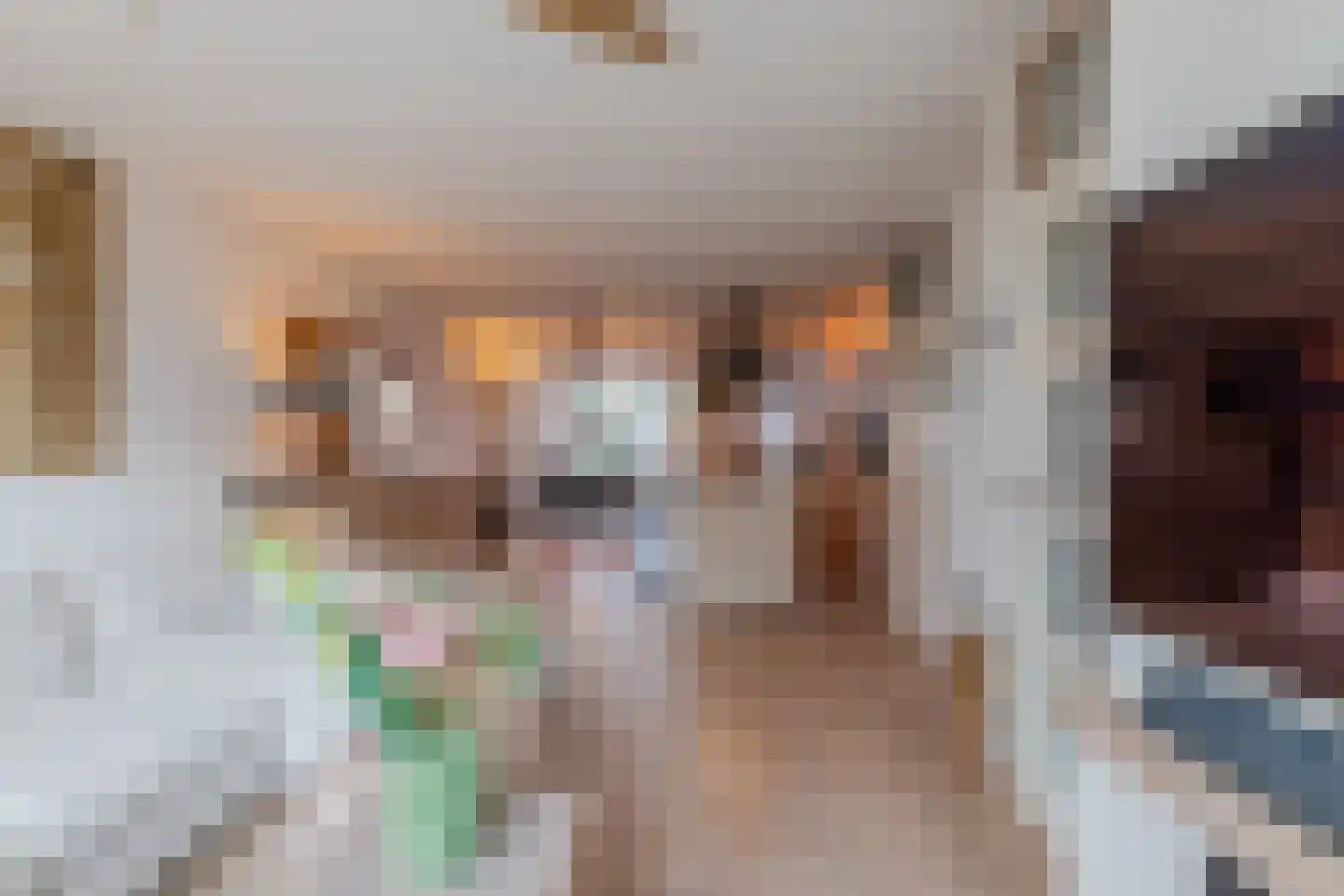 Heierveldlaan 62 Maasbree thumbnail 9