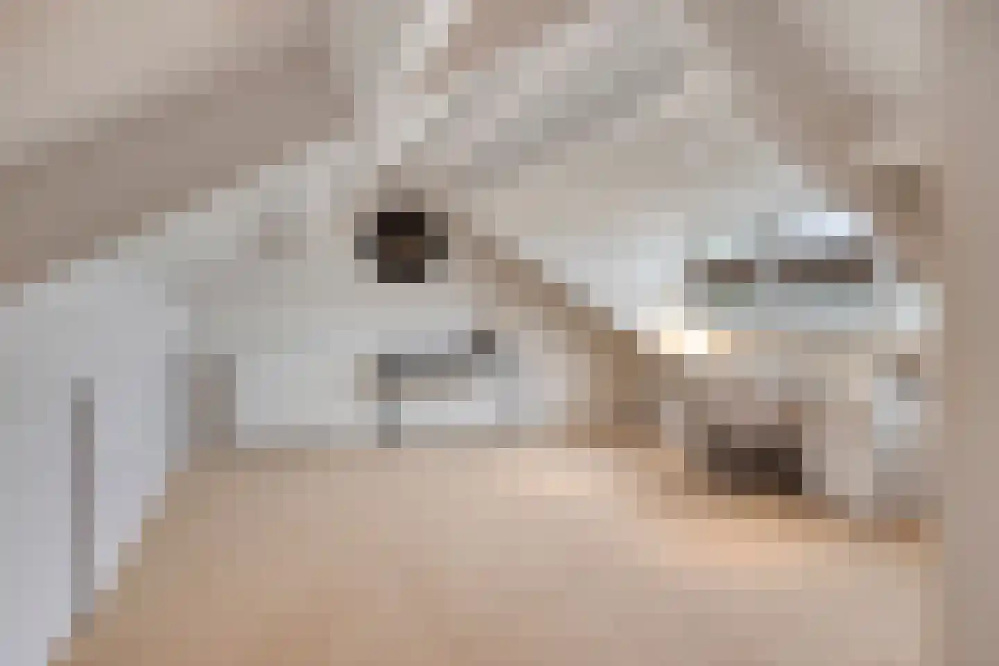 Heigank 25 Landgraaf thumbnail 24