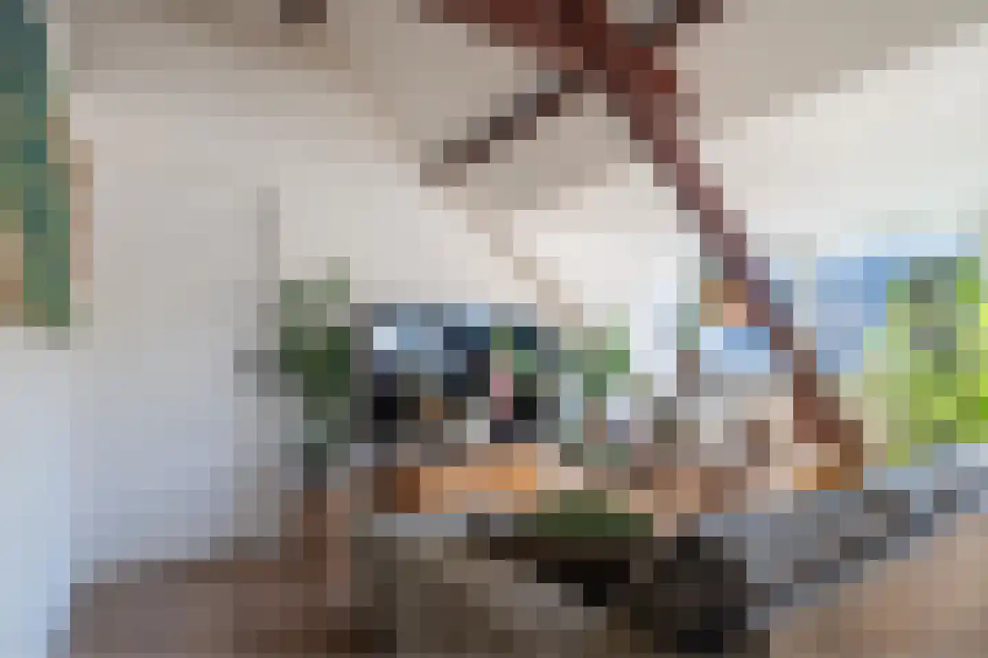 Heigank 53 B Landgraaf thumbnail 8