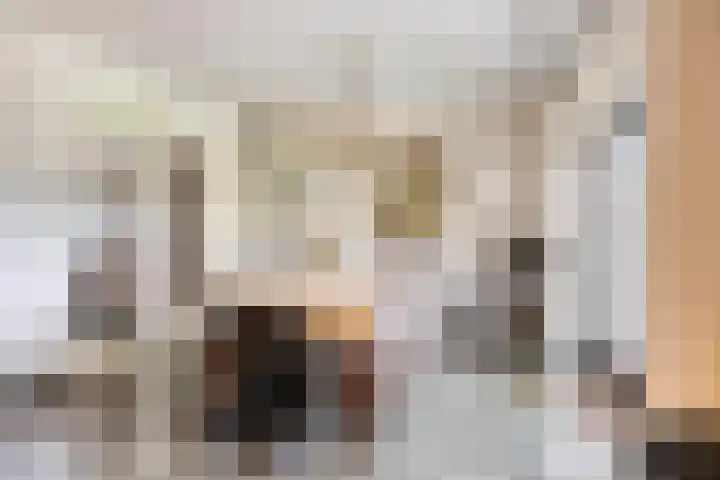 Heiheuvel 23 Schaijk thumbnail 10
