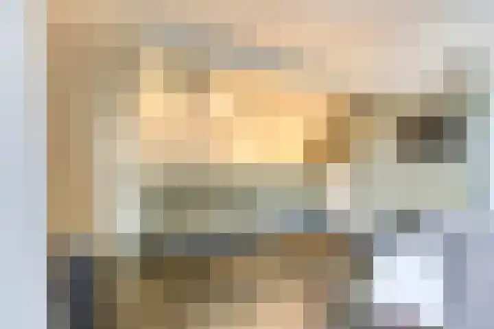 Heiheuvel 23 Schaijk thumbnail 11