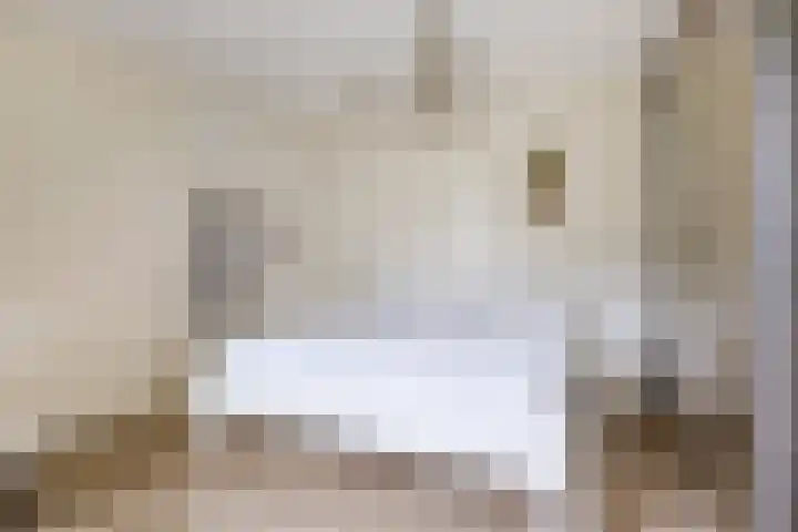 Heiheuvel 23 Schaijk thumbnail 16