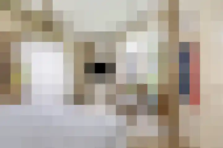 Heiheuvel 23 Schaijk thumbnail 17