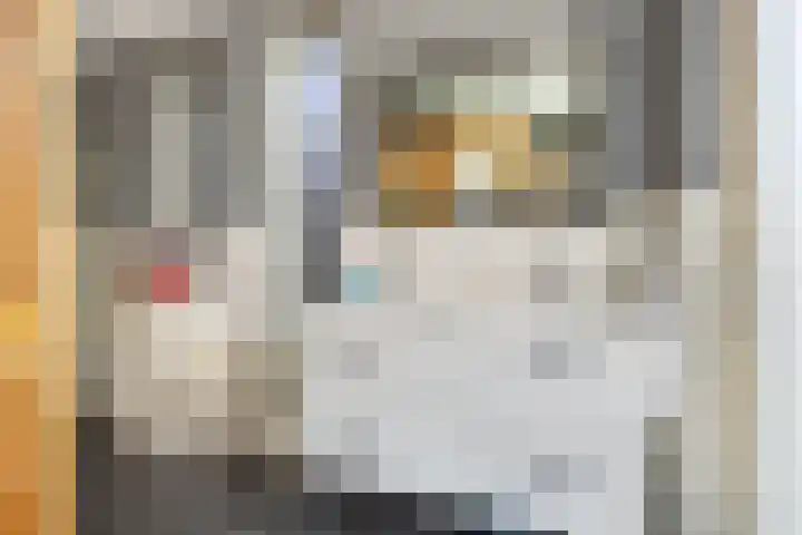 Heiheuvel 23 Schaijk thumbnail 19