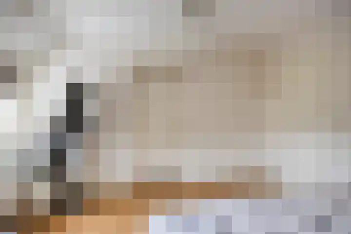 Heiheuvel 23 Schaijk thumbnail 22