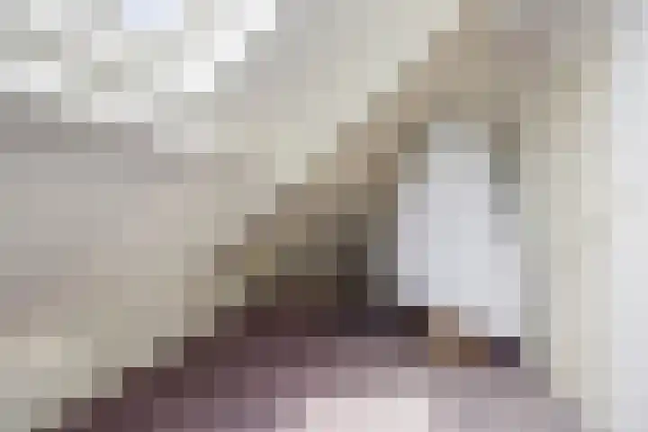 Heiheuvel 23 Schaijk thumbnail 30