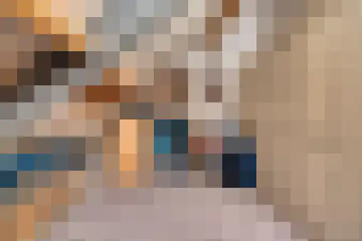 Heiheuvel 23 Schaijk thumbnail 31