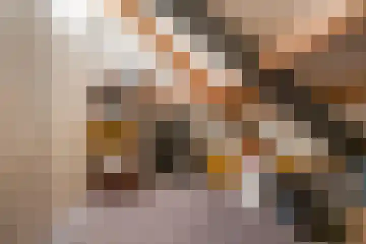 Heiheuvel 23 Schaijk thumbnail 32