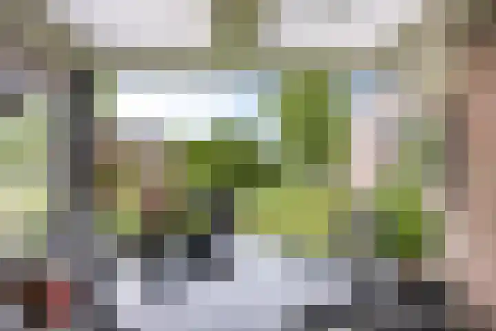 Heiheuvel 23 Schaijk thumbnail 34