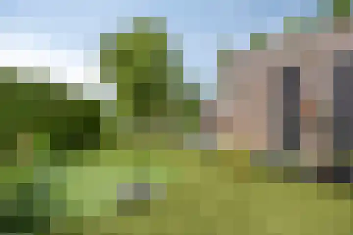 Heiheuvel 23 Schaijk thumbnail 35