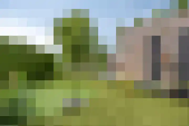 Heiheuvel 23 Schaijk thumbnail 4