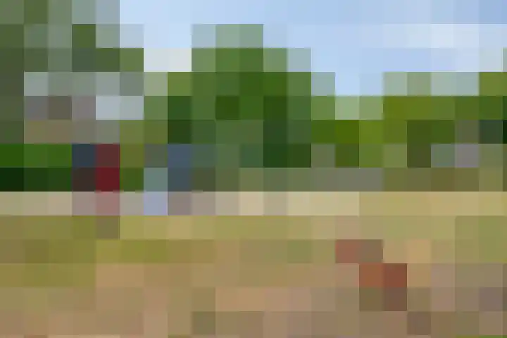 Heiheuvel 23 Schaijk thumbnail 41