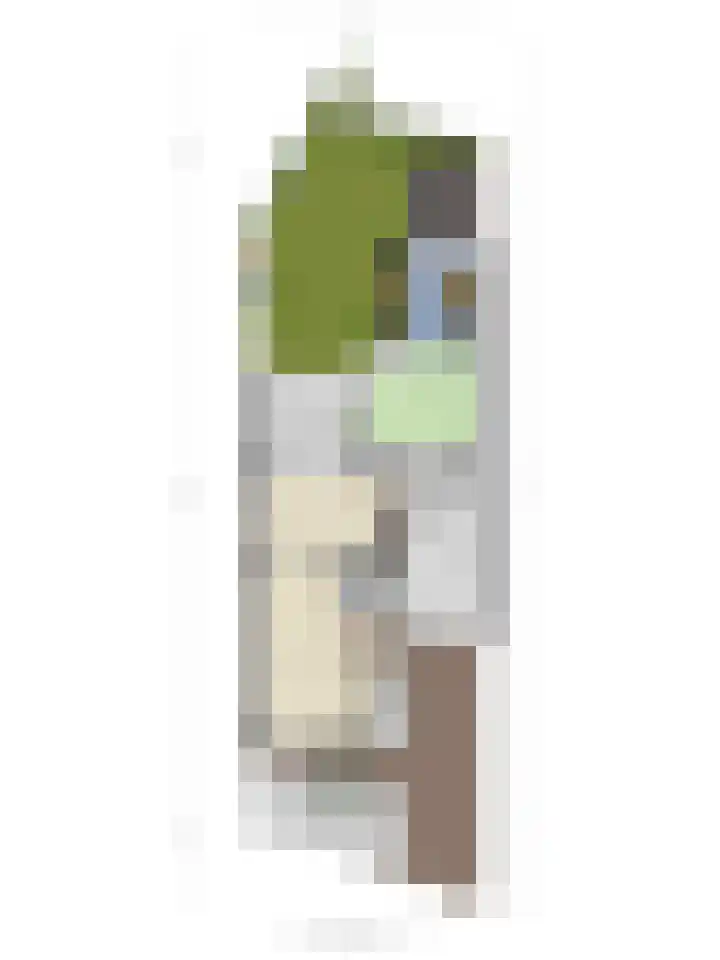 Heiheuvel 23 Schaijk thumbnail 42