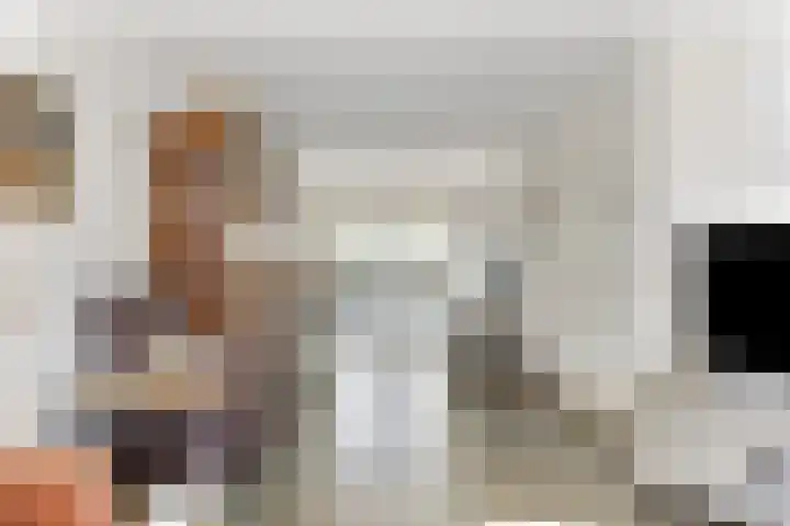 Heiheuvel 23 Schaijk thumbnail 7