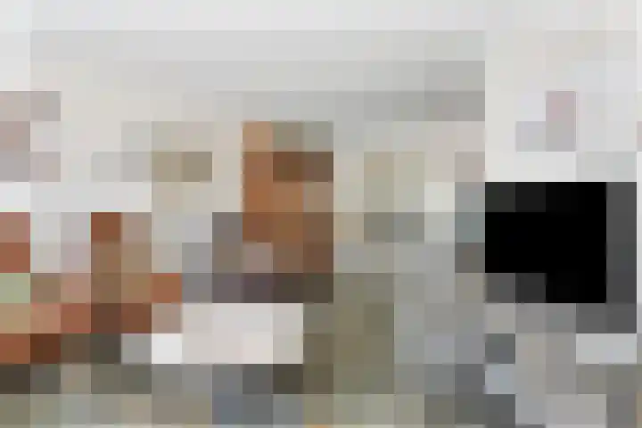 Heiheuvel 23 Schaijk thumbnail 8