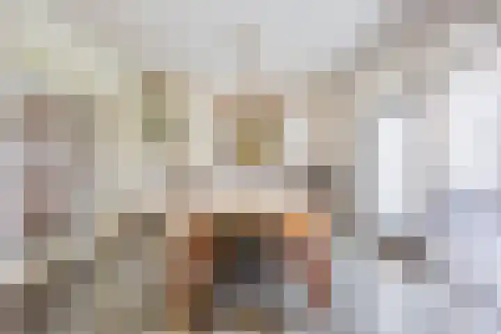 Heiheuvel 23 Schaijk thumbnail 9