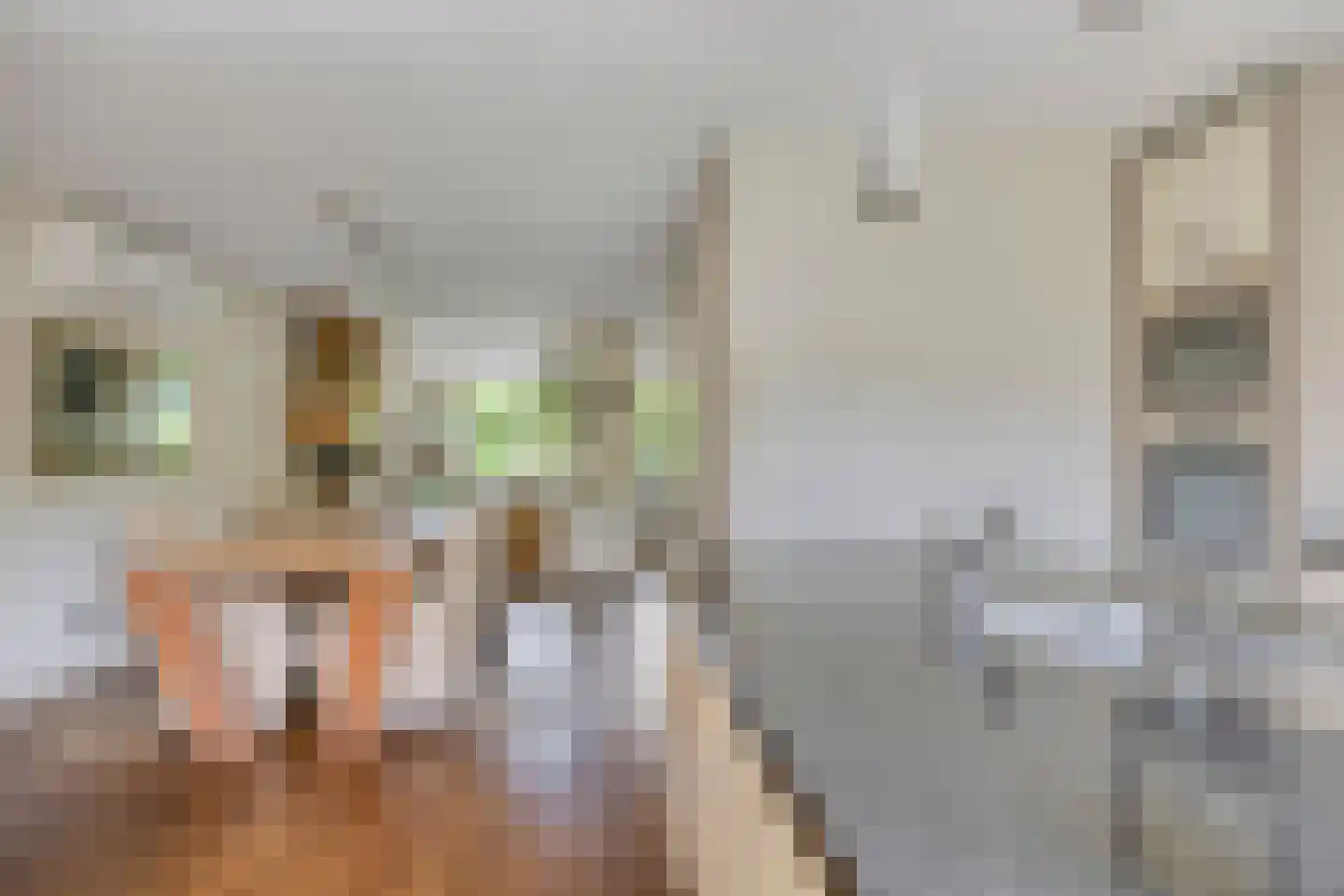 Heiheuvel 30 Schaijk thumbnail 10