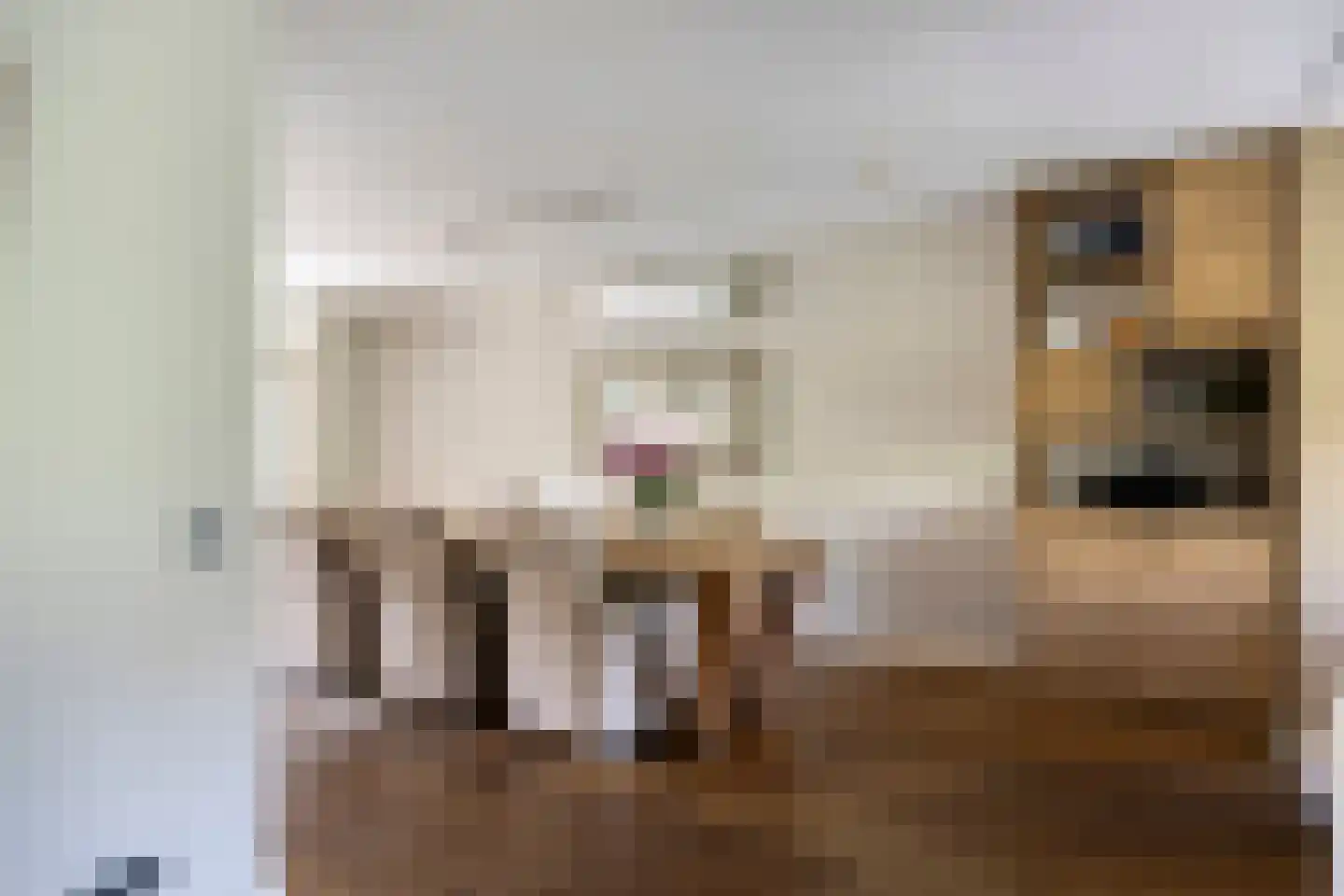 Heiheuvel 30 Schaijk thumbnail 12