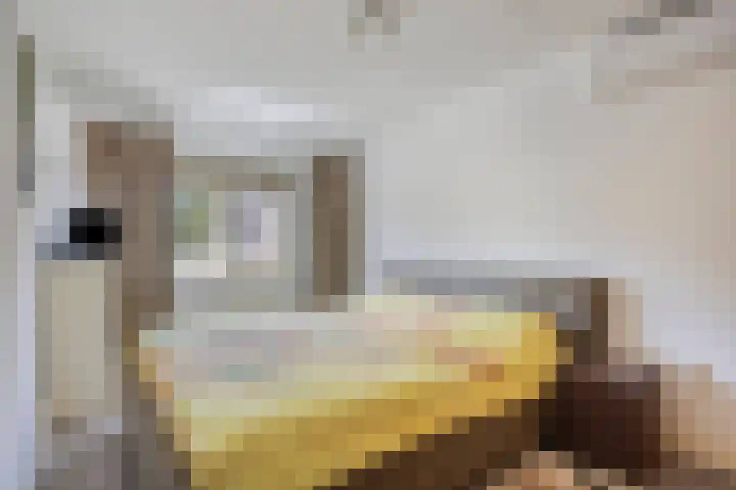 Heiheuvel 30 Schaijk thumbnail 19