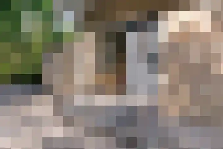 Heihoekscheweg 1 a in Vierlingsbeek