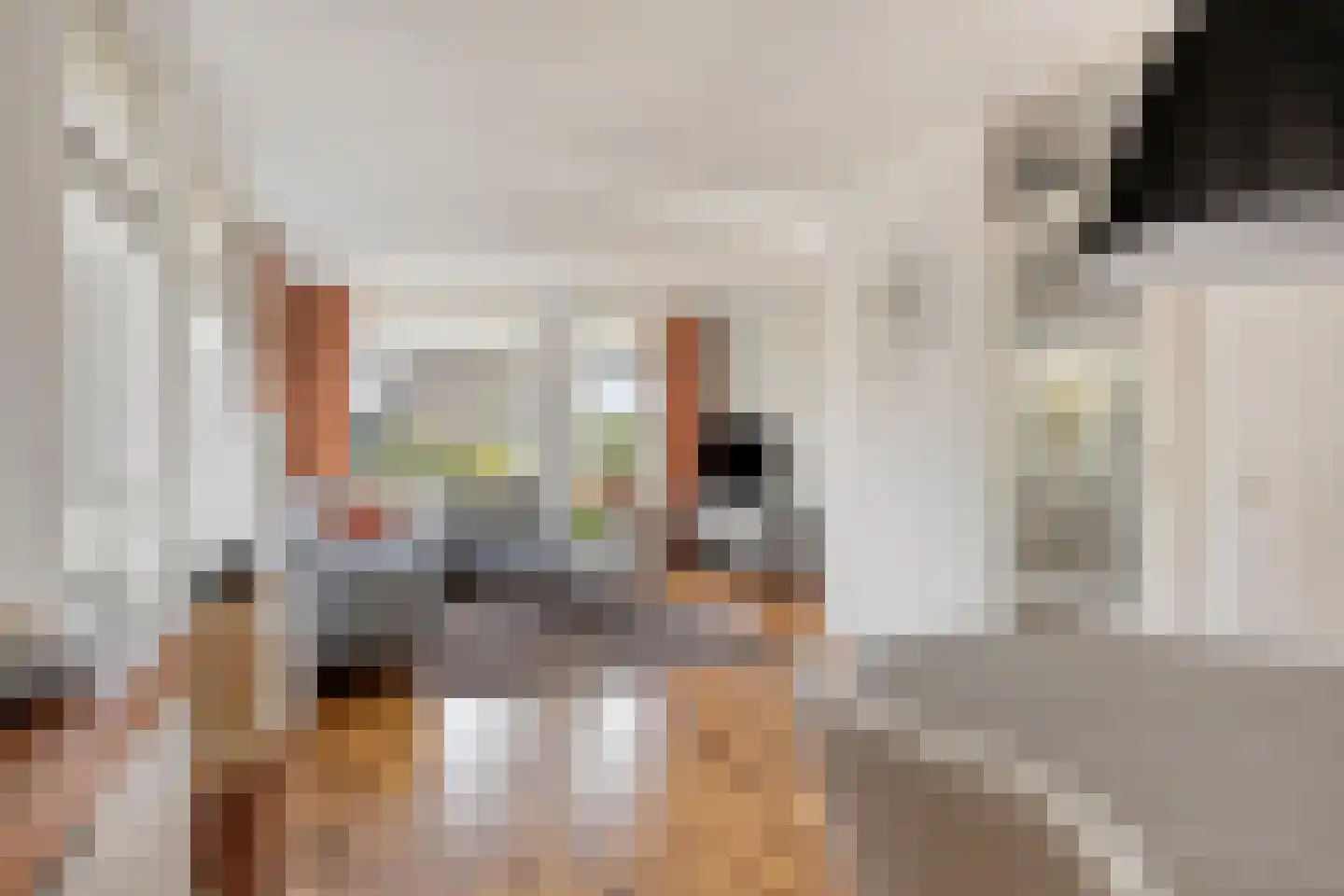 Heihoekscheweg 1 a Vierlingsbeek thumbnail 19
