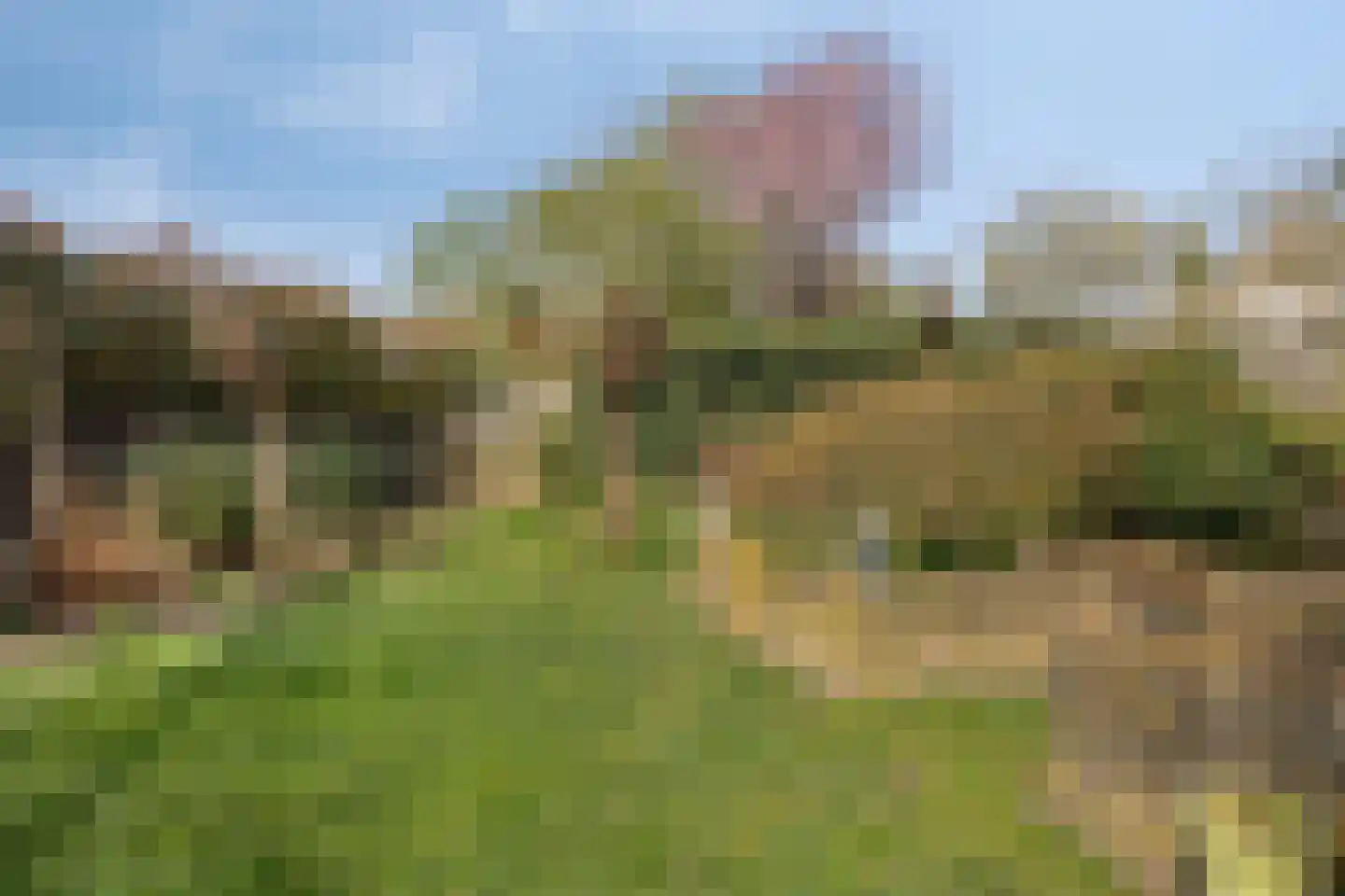 Heihoekscheweg 1 a Vierlingsbeek thumbnail 48