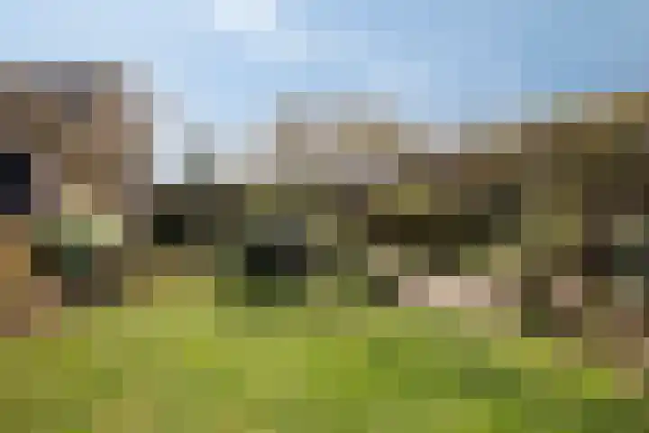 Heihoekscheweg 1 a Vierlingsbeek thumbnail 49