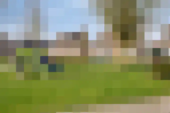 Heihoekscheweg 1 a Vierlingsbeek thumbnail 52
