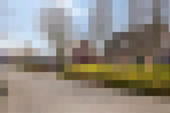 Heihoekscheweg 1 a Vierlingsbeek thumbnail 6