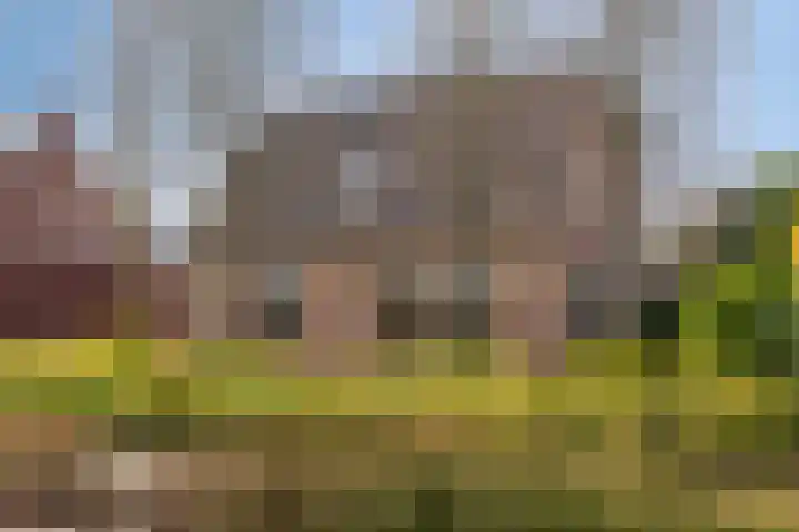 Heihoekscheweg 1 a Vierlingsbeek thumbnail 8