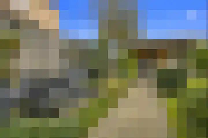 Heihoekscheweg 46 Vierlingsbeek thumbnail 41