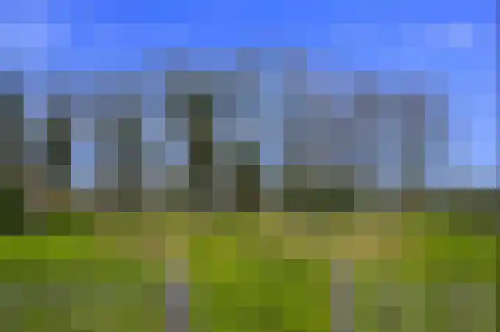 Heihoekscheweg 46 Vierlingsbeek thumbnail 47
