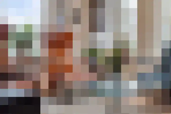 Heihoekscheweg 46 Vierlingsbeek thumbnail 5