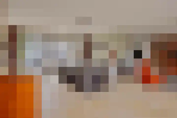 Heihorst 2 Oirschot thumbnail 14