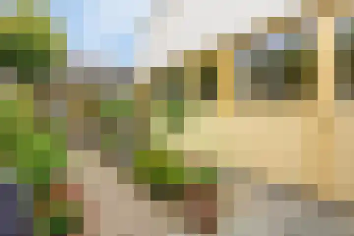 Heihorst 2 Oirschot thumbnail 34