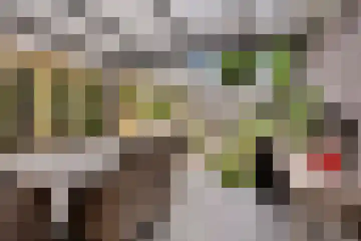 Heihorst 2 Oirschot thumbnail 36