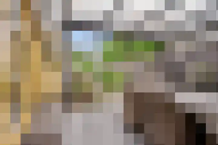 Heihorst 2 Oirschot thumbnail 38