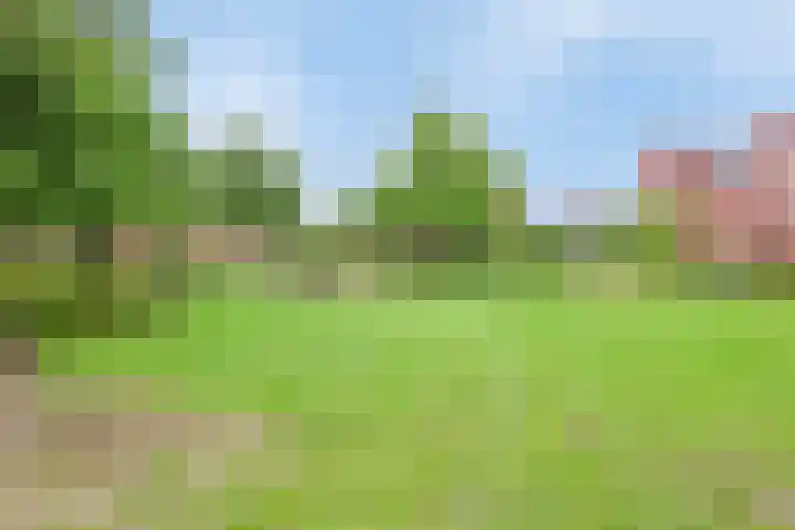 Heihorst 2 Oirschot thumbnail 43