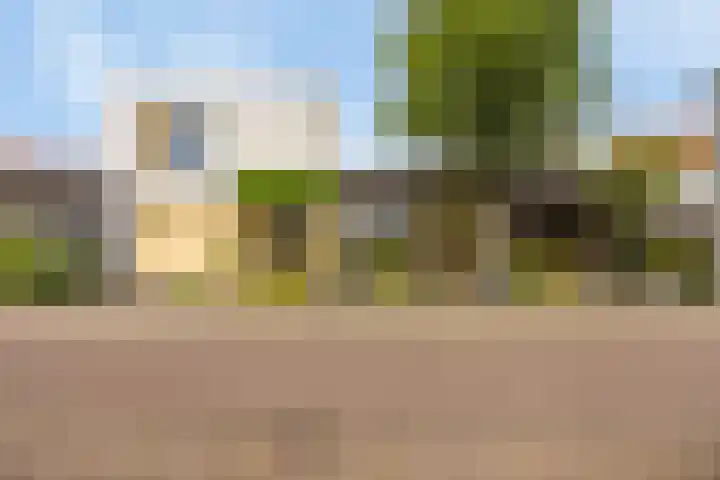 Heihorst 2 Oirschot thumbnail 6