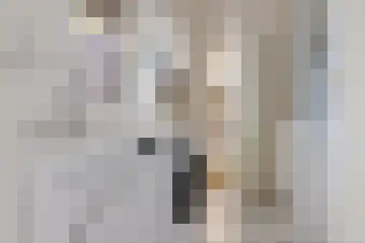 Heihorst 2 Tolbert thumbnail 20
