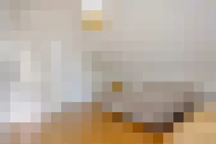 Heihorst 2 Tolbert thumbnail 22