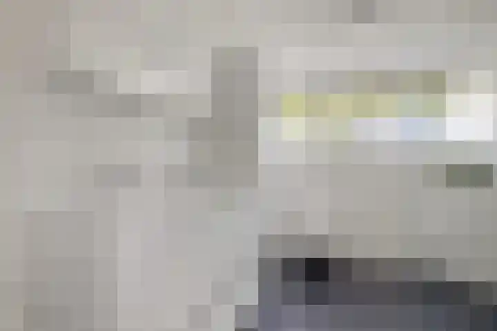 Heihorst 2 Tolbert thumbnail 25