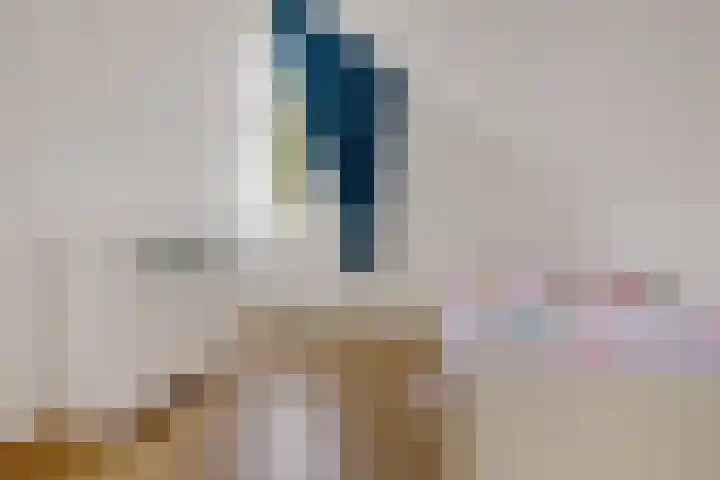 Heihorst 2 Tolbert thumbnail 27