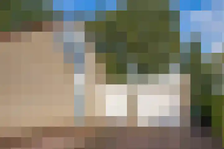 Heihorst 2 Tolbert thumbnail 29