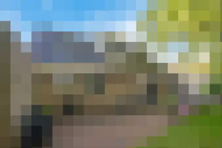 Heihorst 2 Tolbert thumbnail 30
