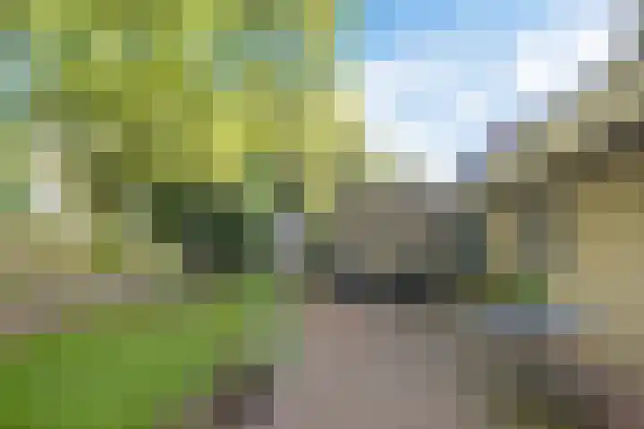Heihorst 2 Tolbert thumbnail 31