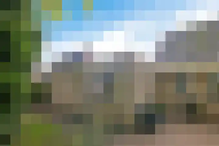Heihorst 2 Tolbert thumbnail 32