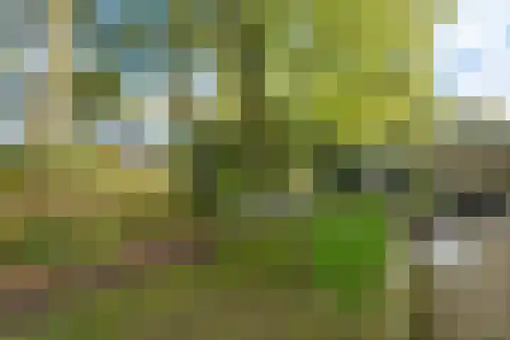 Heihorst 2 Tolbert thumbnail 33